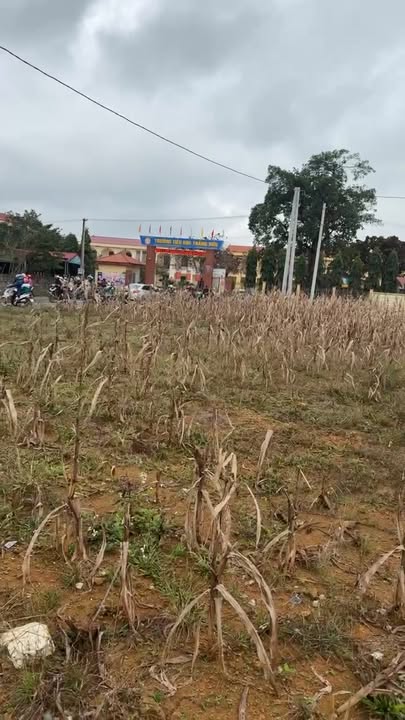 Đất đấu giá Sơn Đà, Ba Vì 100m² giá 1 tỷ - Cơ hội đầu tư hấp dẫn!