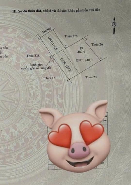 Đất nền Hoa Lư cũ 500m² giá thỏa thuận - Cơ hội đầu tư hấp dẫn!