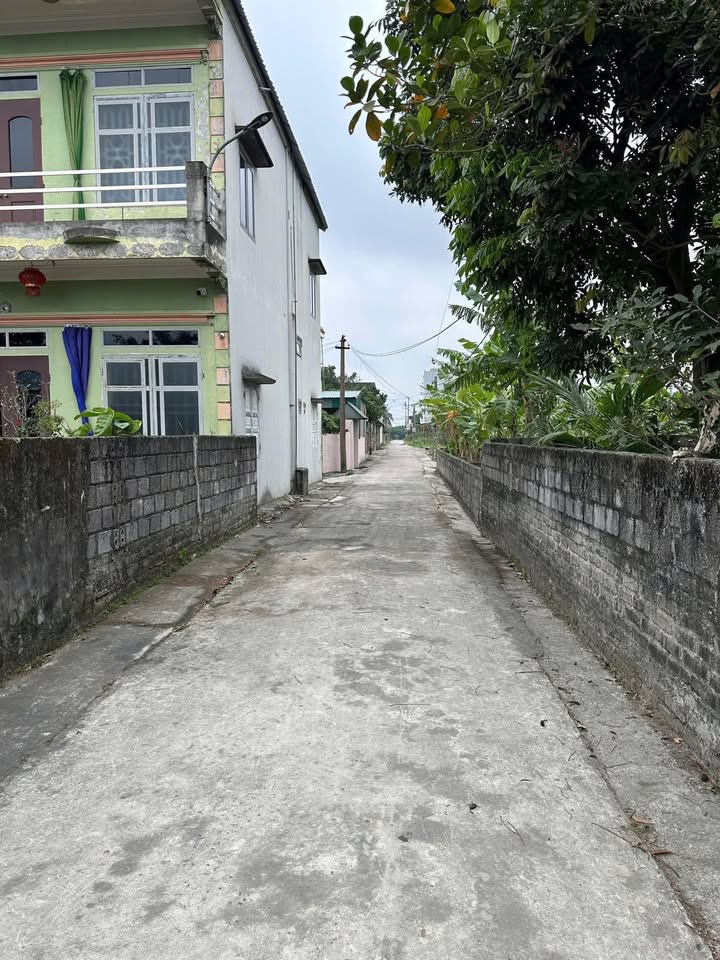 Đất nền chính chủ tại Yên Lâm, Ninh Bình 150m² giá 1,2 tỷ - Khu vực dân cư văn minh!