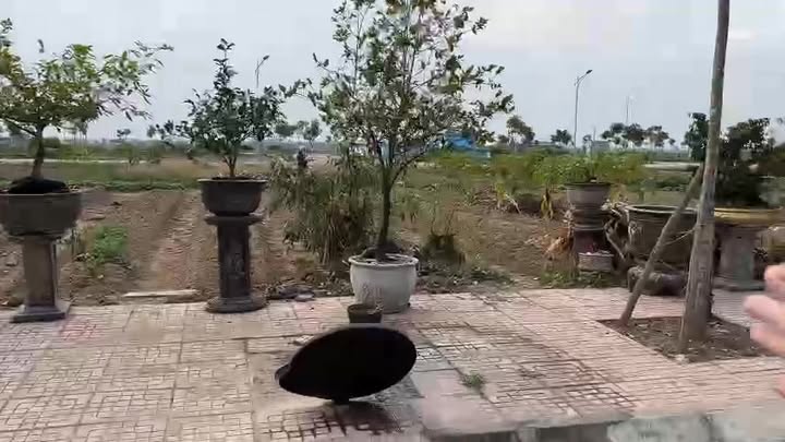 Đất nền khu dân cư An Cầu, Hưng Yên 120m² - Giá cực sốc chỉ 1.2 tỷ!