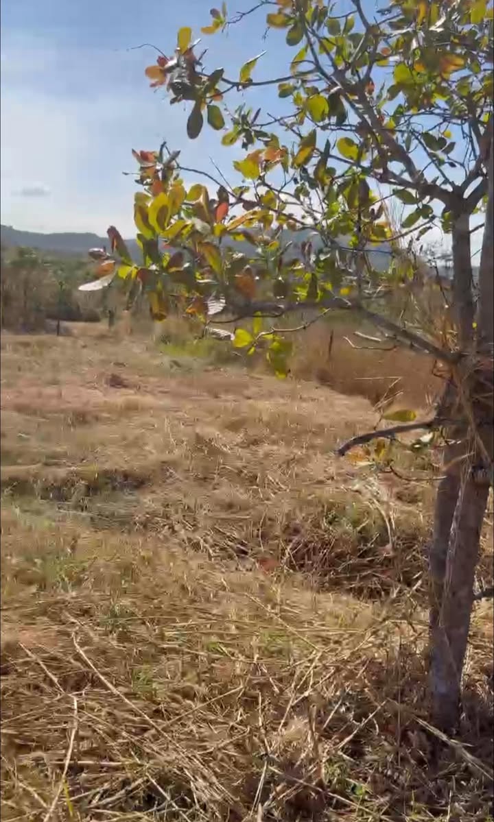 Đất nền 2 hecta tại xã Ia Chia, huyện Ia Grai, giá chỉ 550 triệu - Sổ đỏ chính chủ!