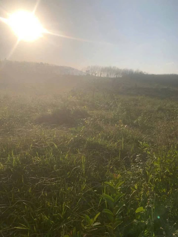 Đất nông nghiệp cho thuê tại Plei Ku, Gia Lai - 6 triệu/ha/năm