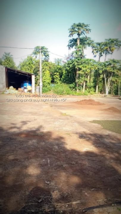 Bán rẫy đầu tư tại Ia Nhin, Chư Păh, 2,5ha - Tiềm năng phát triển lớn!