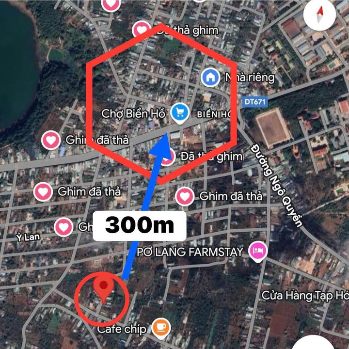 Đất thổ cư 175m² hẻm 332 Tôn Đức Thắng, Biển Hồ, chỉ 8xx triệu - Sở hữu ngay!