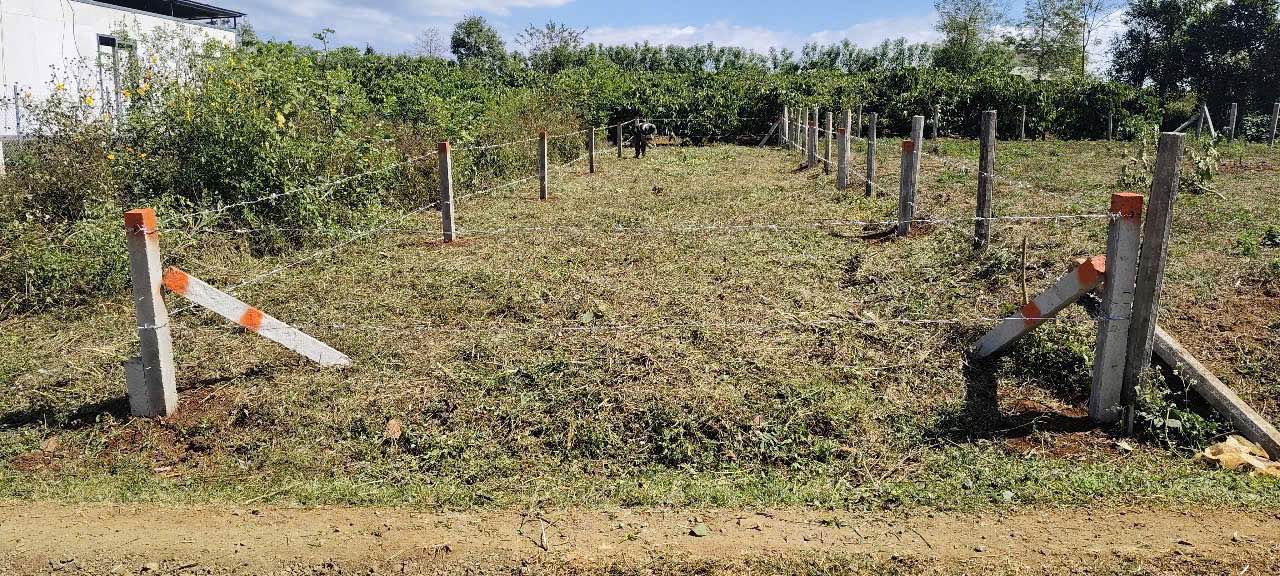 Đất thổ cư hẻm 104 Trần Văn Ơn 125m² giá chỉ 4xx triệu - Đầu tư sinh lời!