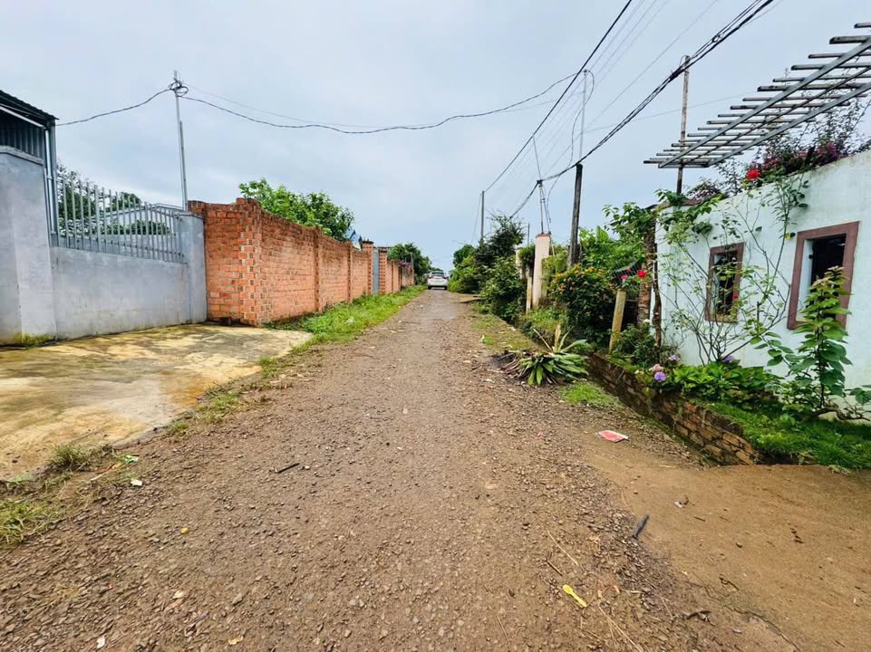 Đất liền kề hẻm Bùi Viện, An Phú, Pleiku 126m² - Giá cực tốt chỉ từ 300 triệu!