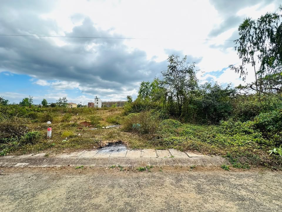Đất Hẻm 30 Trần Văn Bình, Pleiku 480m² giá 3 tỷ - Cơ hội đầu tư vàng!