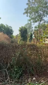 Lô đất mặt tiền đường bê tông xã Ia Pnôn 220m² - Giá hợp lý chỉ từ 1xx triệu