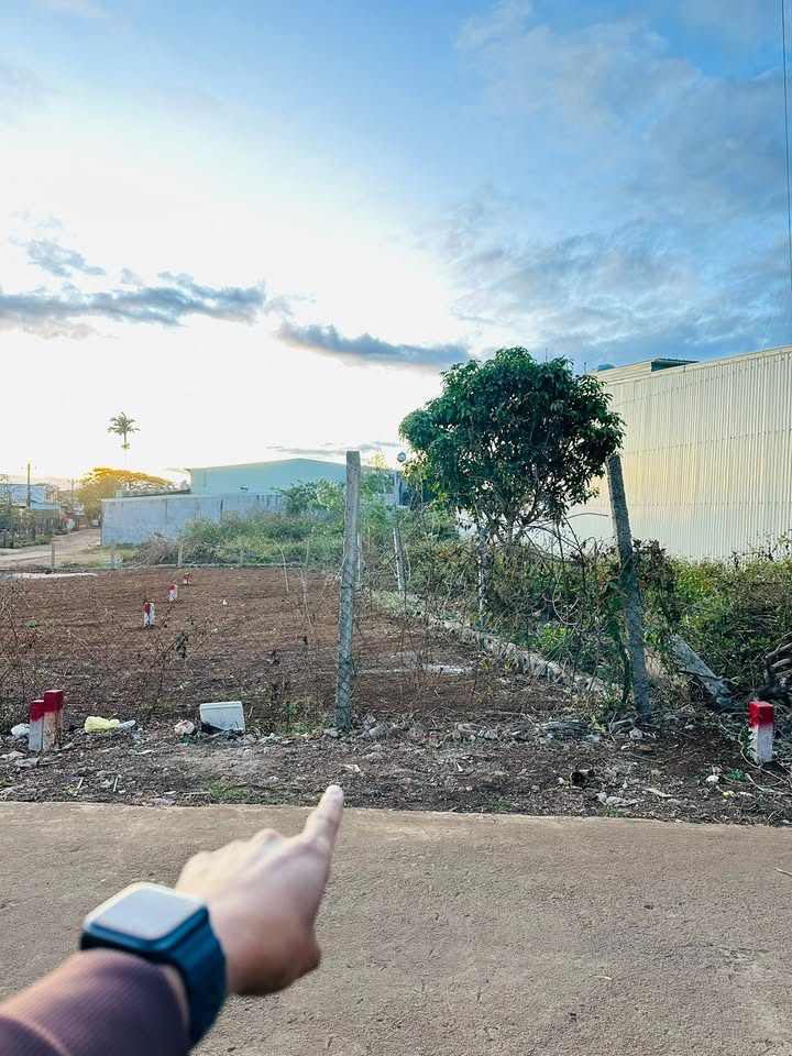 Đất hẻm 66 Lý Chính Thắng, Hội Phú, 101m² - Hướng Bắc, Giá thỏa thuận!