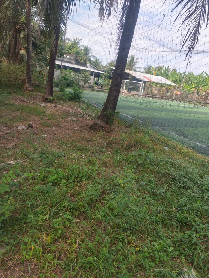 Đất nền 346,8m² tại xã Tân Hào, huyện Giồng Trôm - Giá chỉ 800 triệu VND!