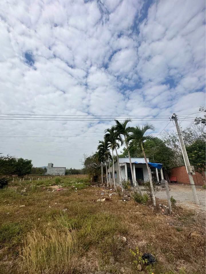 Đất nền Dầu Tiếng 735m² giá 1 tỷ - Sổ đỏ chính chủ, vị trí tiềm năng!