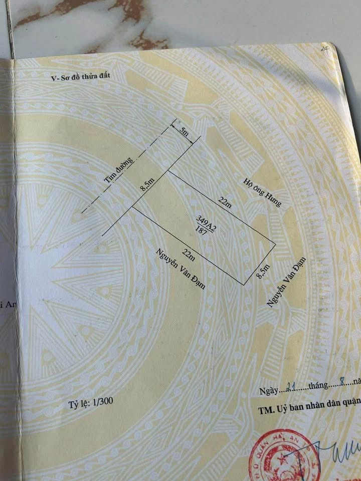Đất mặt đường Thành Tô, Tràng Cát 187m² giá 6.732 tỷ - Kinh doanh sầm uất!