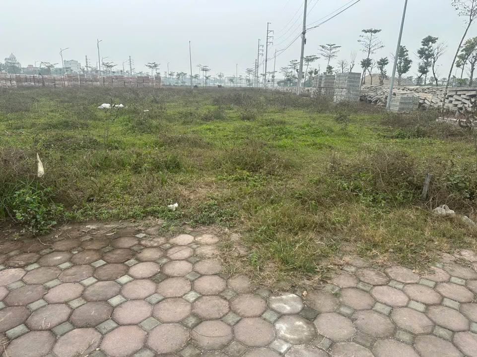 Đất nền Phú Xuyên 90m² giá chỉ 6 triệu/m² - Cơ hội đầu tư tuyệt vời!