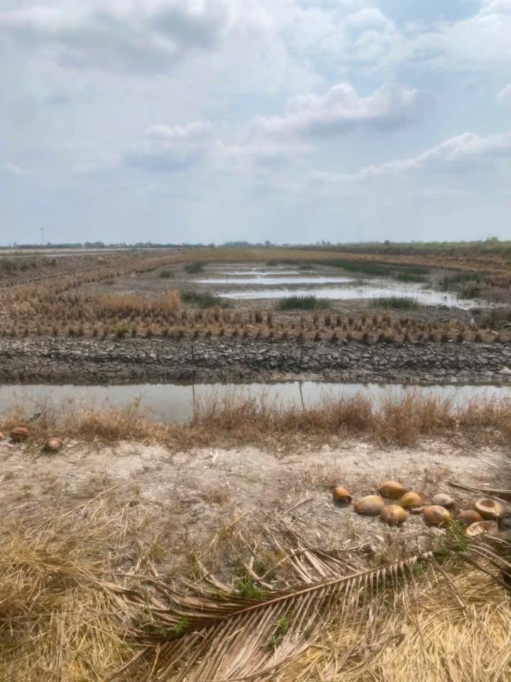 Đất Farm 22 công tại Xáng 2, Đông Hòa, An Minh giá 2.64 tỷ - Sổ đỏ chính chủ