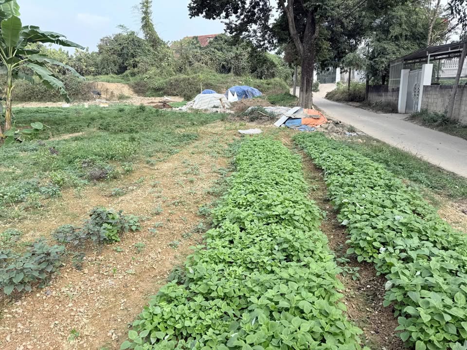 Đất nền Linh Sơn, Thái Nguyên 476m² giá 5 tỷ - Cơ hội đầu tư hấp dẫn!