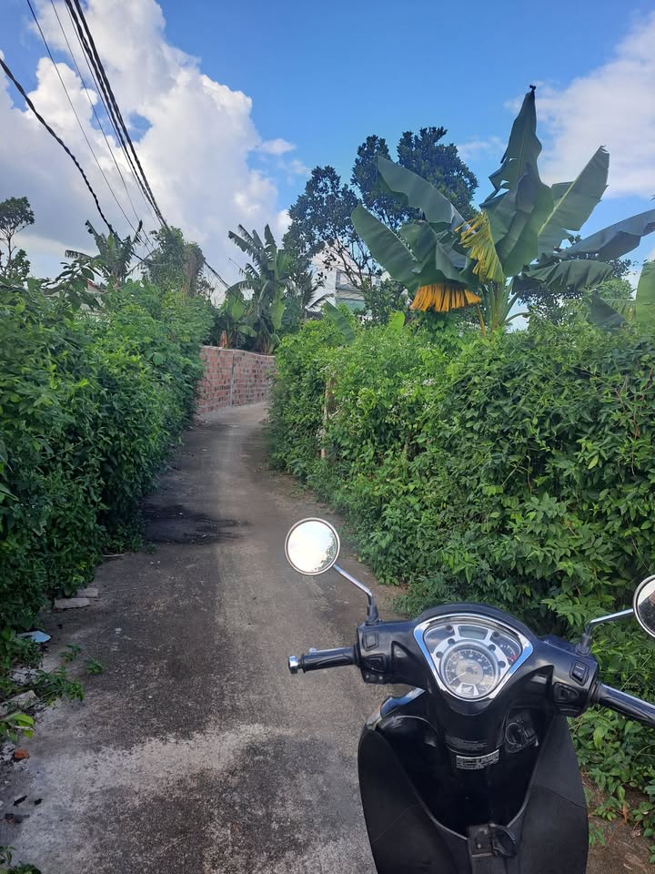 Đất nền liền kề xã Phước An 220m² giá tốt - Sổ đỏ chính chủ!