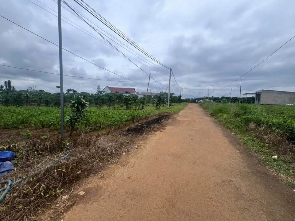 Đất nền Bảo Lộc 3.447m² giá 3.15 tỷ - Đường 16 Lộc Tân, mặt tiền 64m