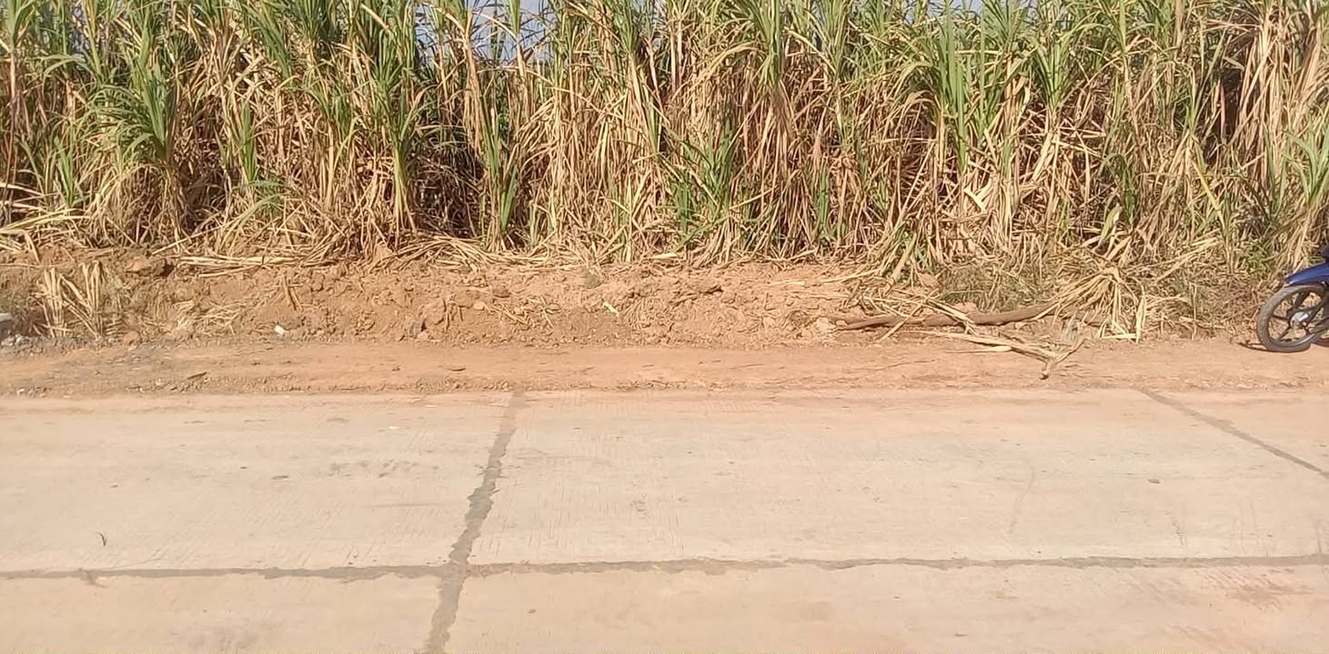 Đất nền Xã Ea Nuôl, Huyện Buôn Đôn 21600m² giá 7.2 tỷ - Đầu tư lâu dài hấp dẫn!