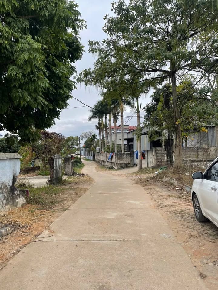 Đất nền Gia Sàng, Thái Nguyên 176m² giá 2.02 tỷ - Tiềm năng đầu tư lớn!