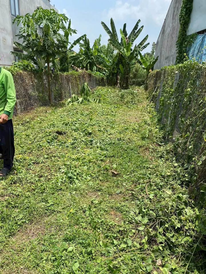 Đất nền Phường 6, Cao Lãnh 150m² giá 1.2 tỷ - Tiện ích xung quanh phát triển!