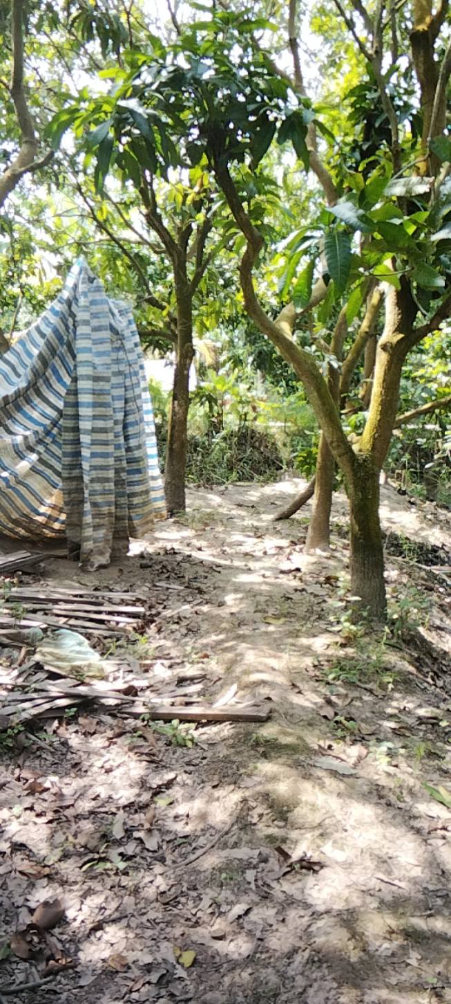 Đất nền Tân Thuận Tây 576m² giá chỉ 950 triệu - Đầu tư sinh lời nhanh chóng!