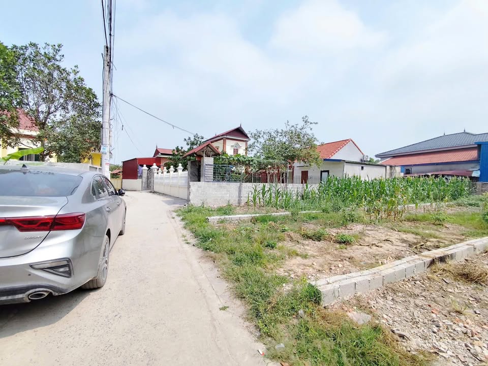 Đất nền 98m² tại Diên Hồng, Kim Động, Hưng Yên - Đầu tư sinh lời tiềm năng!