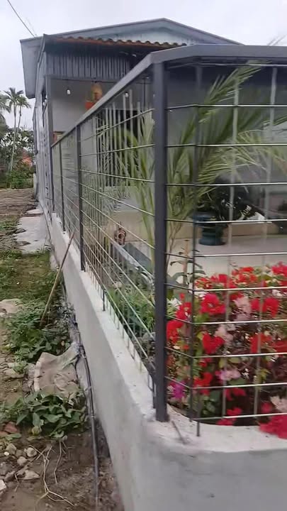 Nhà vườn Dân Tiến, Đồ Sơn 52m² giá 3 tỷ - Cơ hội đầu tư tuyệt vời!