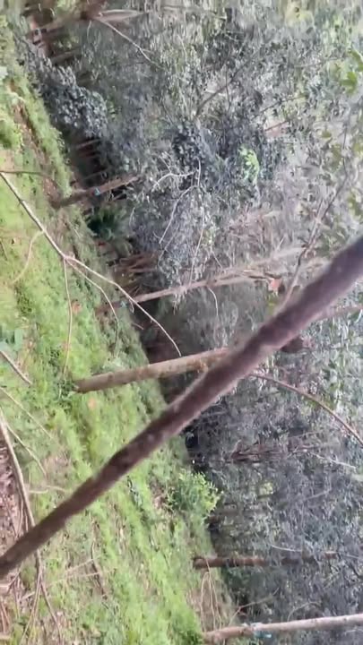 Đất Farm 30,000m² tại Thọ Sơn mới, giá chỉ 1.2 tỷ - Cơ hội đầu tư tuyệt vời!