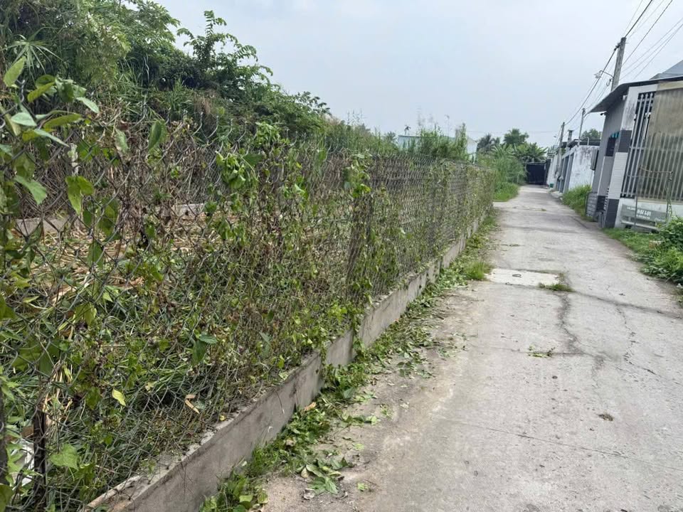 Đất nền TTC Bình Phú, Bến Tre 94m² giá 790 triệu - Cơ hội đầu tư hấp dẫn!