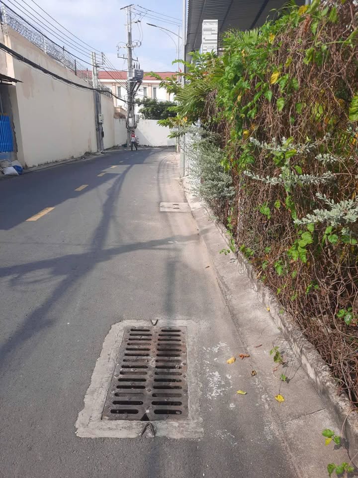 Nhà cho thuê tại Phường 6, Bến Tre 300m² - Sân rộng thoáng mát!