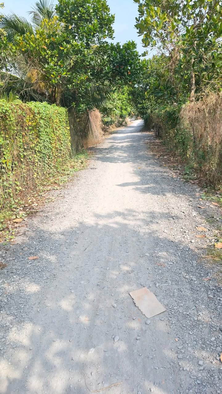 Đất Farm 2.000m² tại Xã Phú An, Huyện Cai Lậy - Giá chỉ 1.6 tỷ!