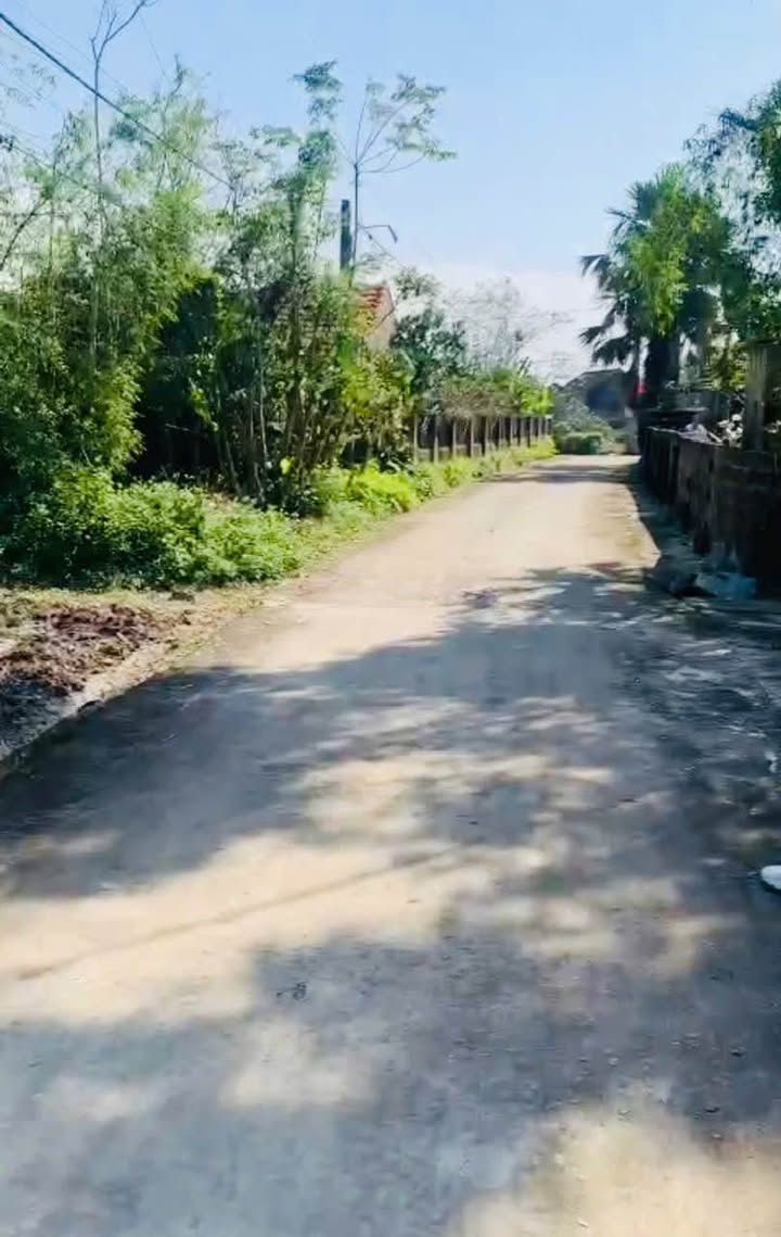 Đất thổ cư thôn Thanh Lương, xã Phù Lưu, 316m² giá 700 triệu - Đường lớn thuận tiện!