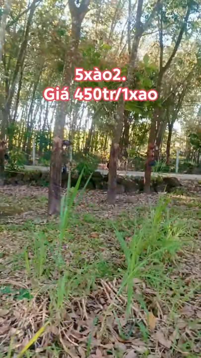 Đất Farm 18,000m² tại Ngọc Định, Định Quán giá chỉ 2.34 tỷ - Đất đẹp, mặt tiền đường bê tông!