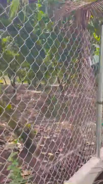 Đất nền Phường Bảo Vinh, Long Khánh 500m² giá 1.25 tỷ - Sổ đỏ chính chủ