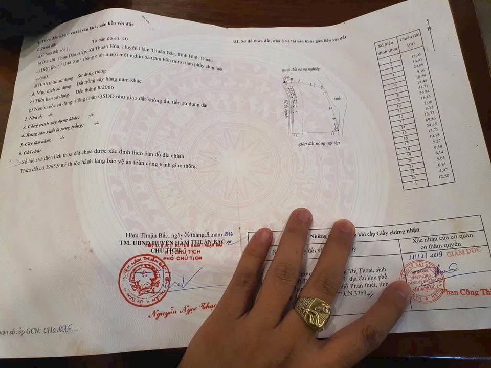 Đất Farm mặt tiền QL28, xã Thuận Hòa 1.1ha giá chỉ 3.2 tỷ - Tiềm năng sinh lời cao!