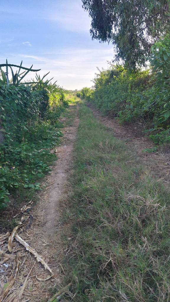 Đất Cây Trồng Thôn 5, Xã Hàm Liêm, 360m² giá 380 triệu - Sổ riêng, đường nhựa 650m