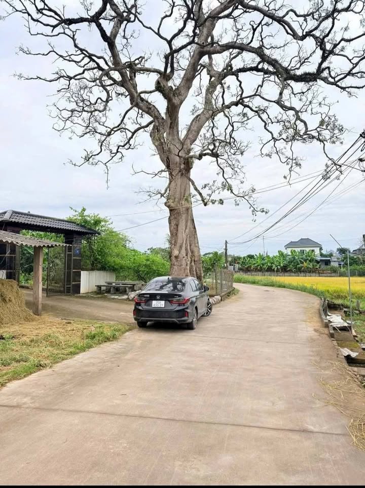 Đất nền chính chủ Xã Lương Sơn 105m² giá 700 triệu - Cơ hội đầu tư sinh lời!