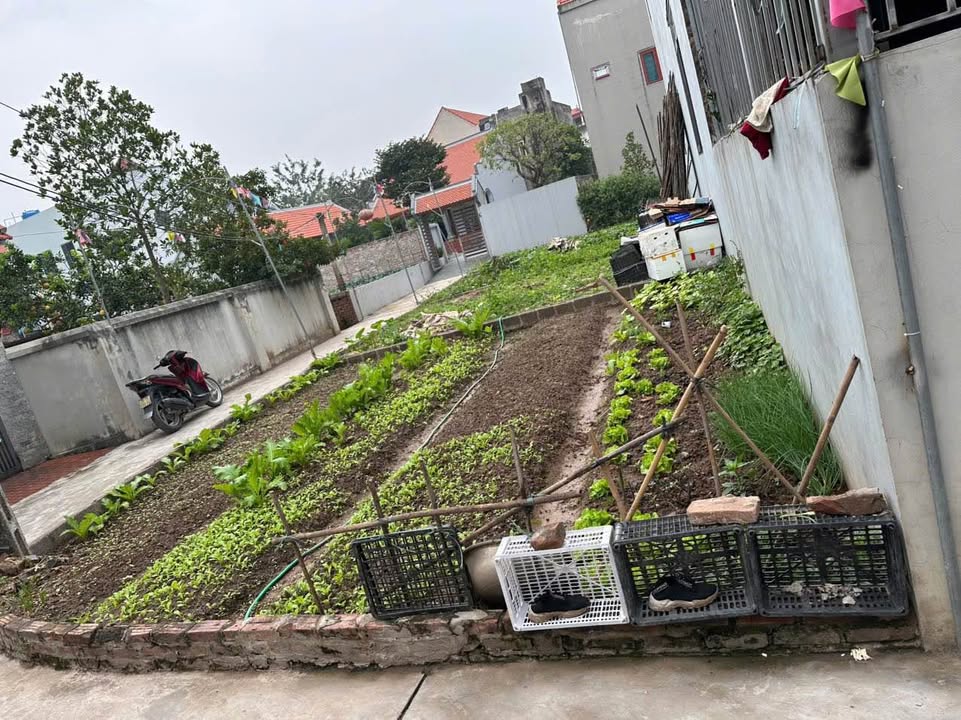 Đất nền lô góc 40m² xã Chương Dương - Giá chỉ 3 tỷ