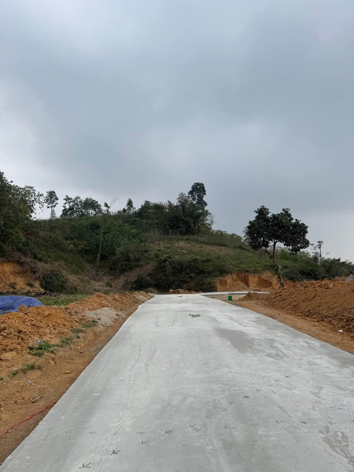 Đất Nông Tiến Tuyên Quang 200m² giá 1 tỷ - Đầu tư sinh lời cao!