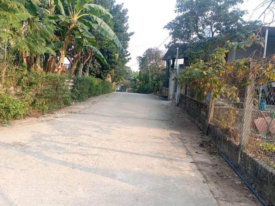 Đất nền thôn 24 - Kim Phú 385m² giá 800 triệu - Cơ hội đầu tư tiềm năng!