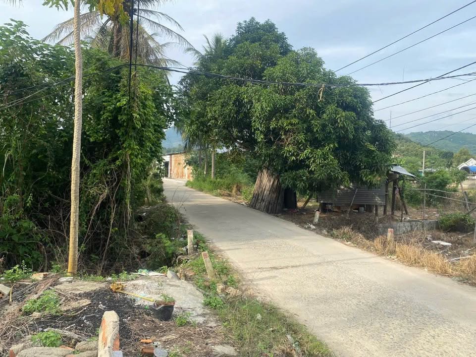 Đất mặt tiền Đường Đắc Phú, Vĩnh Hòa, 119.5m² giá 1.98 tỷ - Sổ hồng riêng, pháp lý rõ ràng!