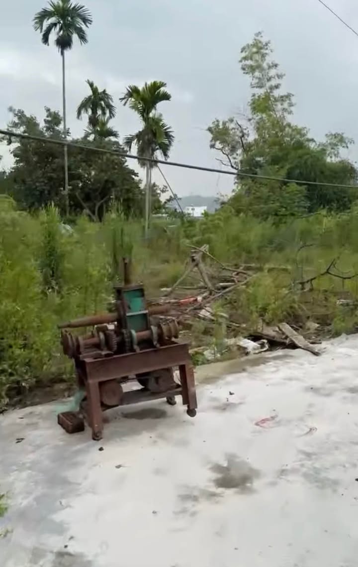 Đất nền An Đồng, Quận An Dương 68,6m² giá 1,4 tỷ - Cơ hội đầu tư tuyệt vời!