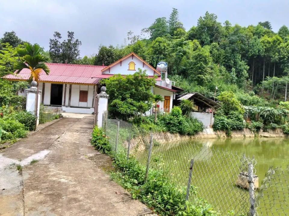 Bán trang trại – nhà vườn Xã Bản Cầm 400m² giá 1.8 tỷ - Tiềm năng đầu tư lớn!