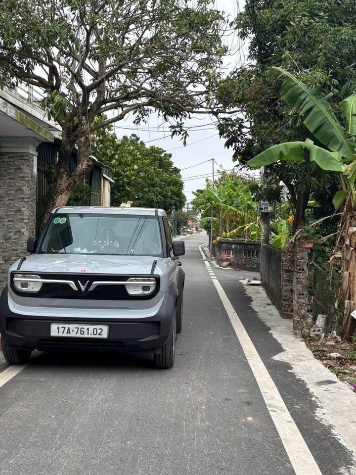 Đất nền Xã Tây Ninh, Huyện Tiền Hải, 92,7m² – Giá chỉ 7XX triệu, vị trí đắc địa!