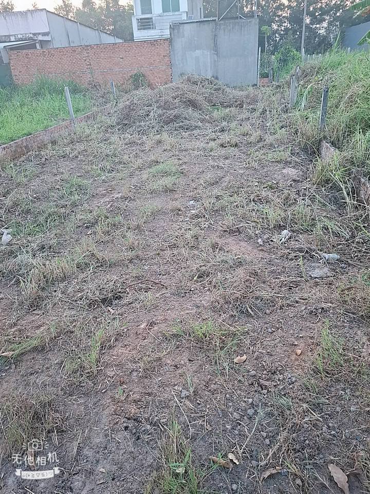 Đất mặt tiền Ấp Rừng Dầu, 147m² giá 1.6 tỷ - Sổ hồng riêng chính chủ!