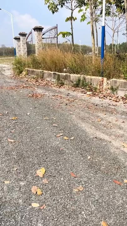 Đất nền liền kề tại Minh Thành, Chơn Thành 200m² giá chỉ 495 triệu - Cơ hội đầu tư hấp dẫn!