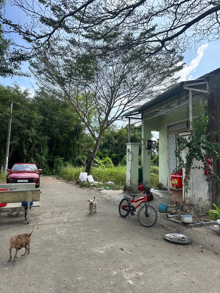 Đất nền Tân Định, Bến Cát 100m² giá chỉ 900 triệu - Sổ hồng chính chủ