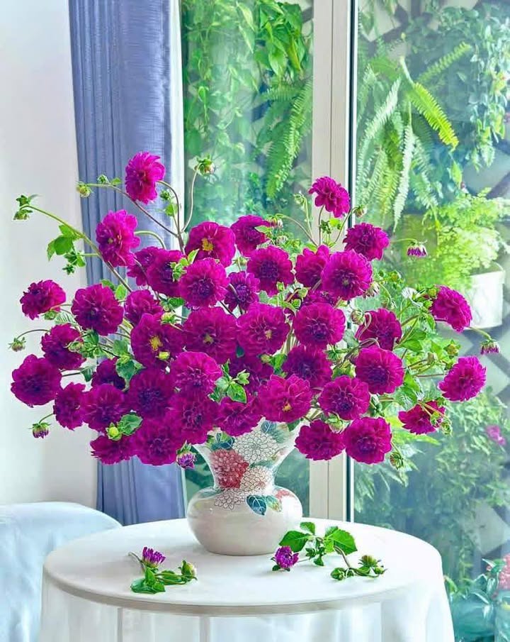 Căn hộ xã hội Trung Văn 74m² giá 4 tỷ - Sổ đỏ chính chủ, sẵn sàng vào ở!