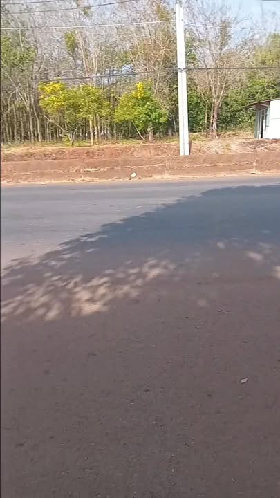 Đất nền Huyện Phú Riềng 18.000m² giá 54 tỷ - Tiềm năng đầu tư cực lớn!