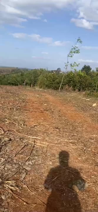 Đất nền 54m² tại Phú Riềng, giá chỉ 3 tỷ - Sổ đỏ chính chủ!